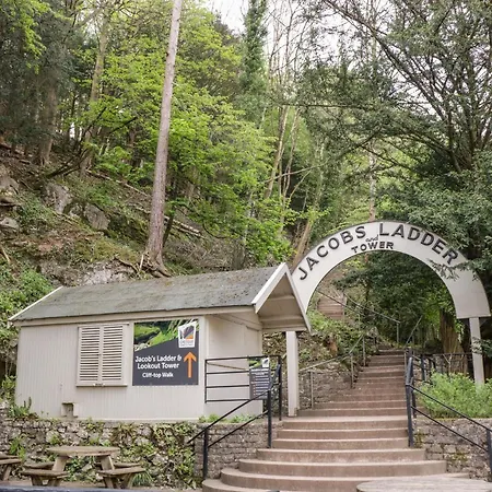 Strawberry Stables בריסטול