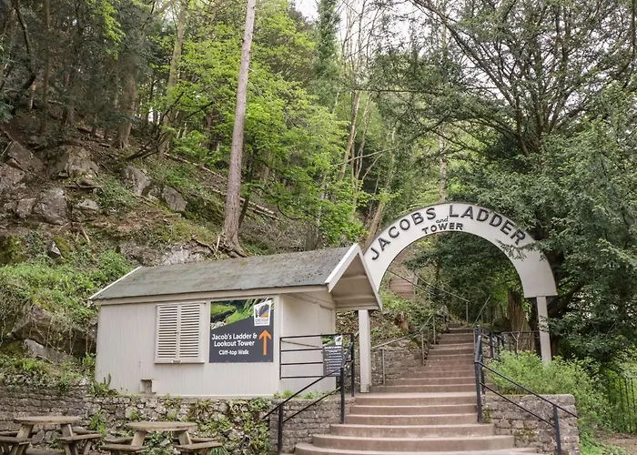 Strawberry Stables 布里斯托